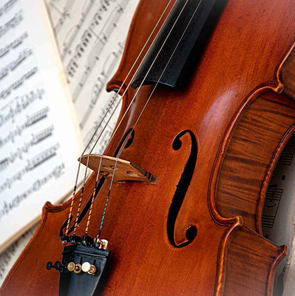 STRING SECTION