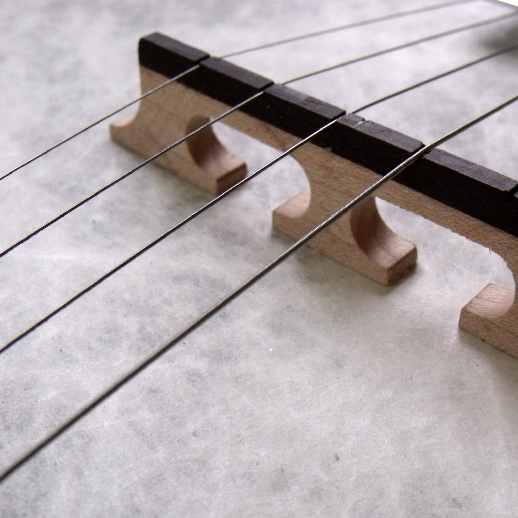 Folk & Trad Strings
