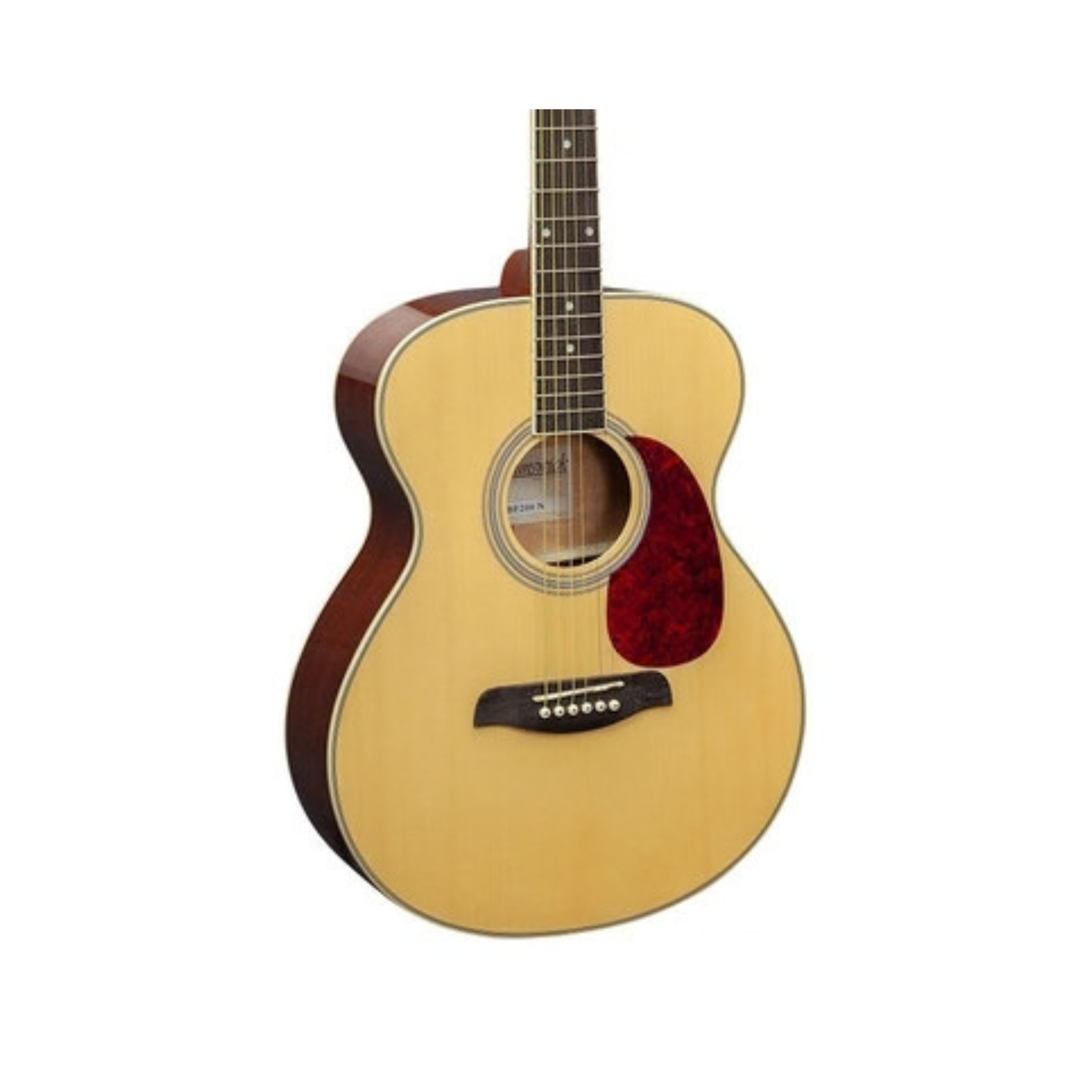 Brunswick Guitar Grand Auditorium CE Natural