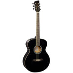 Brunswick Guitar BF100