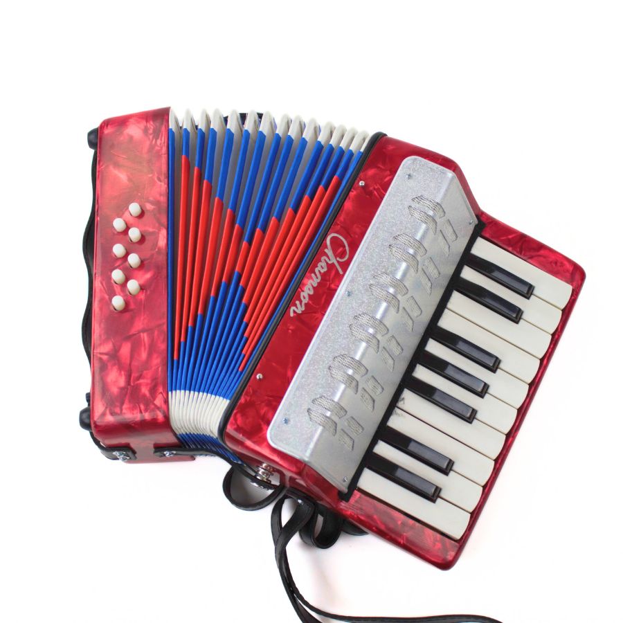 UC104 Childrens Accordion