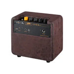 Ortega Acoustic Amplifier PTWO