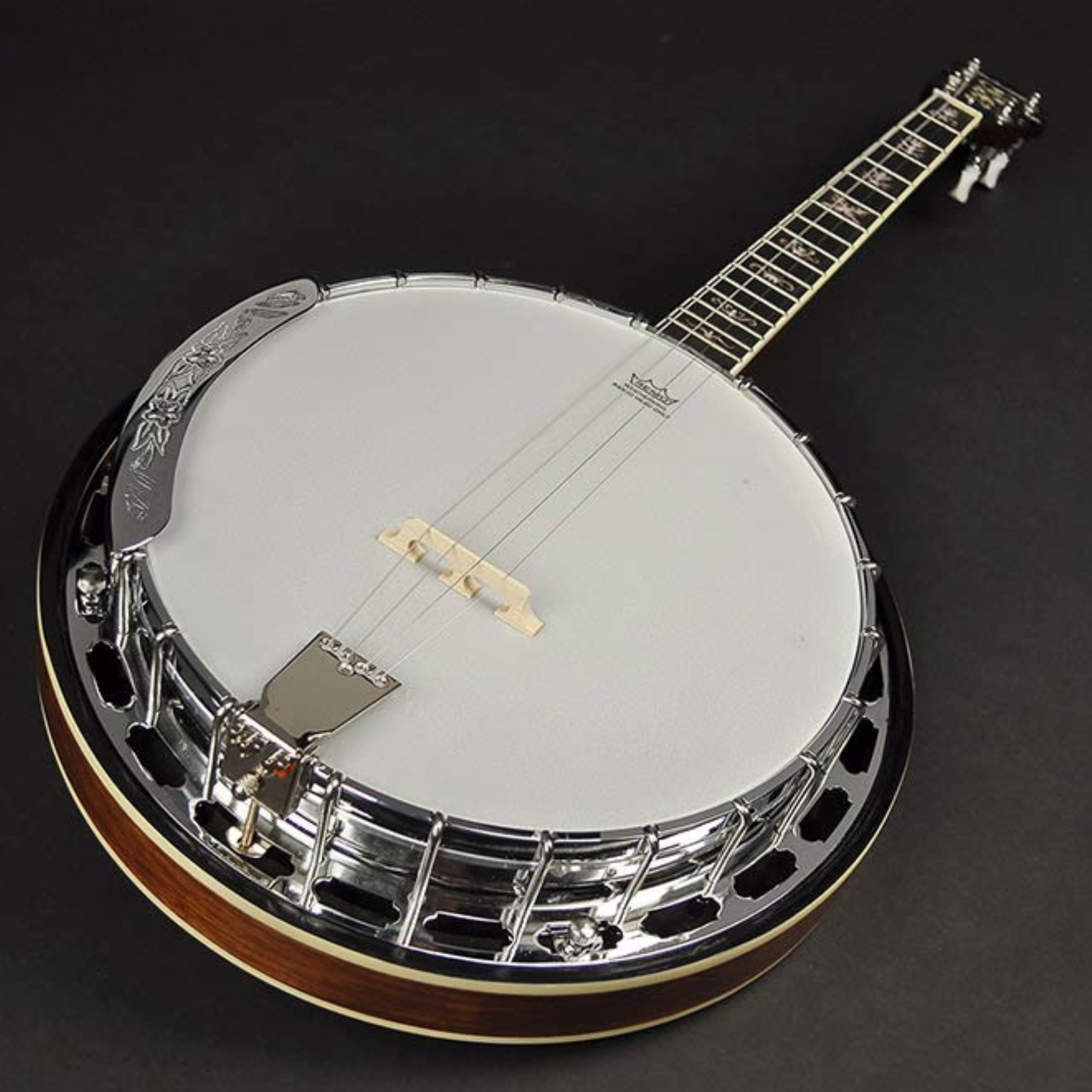 Richwood Banjo -  RMB-904-SS