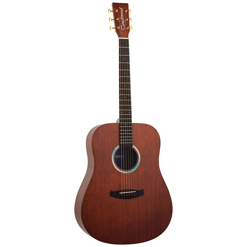 Tanglewood TE5BL Acoustic Guitar