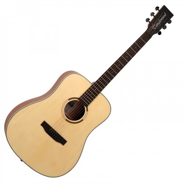 Tanglewood TS5 Dreadnought