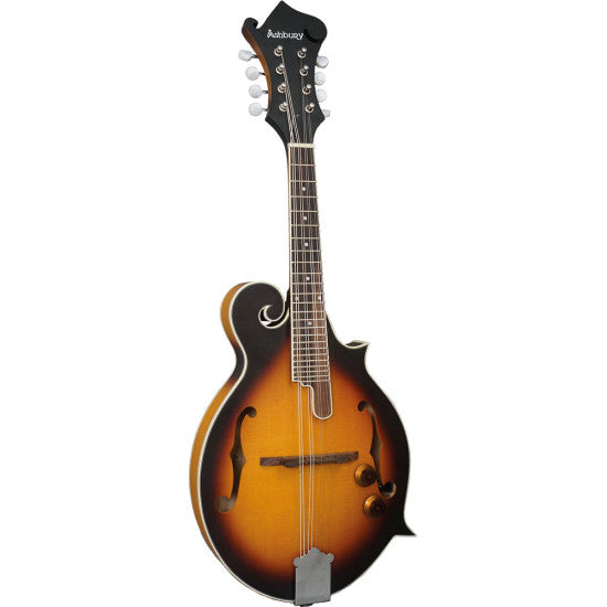 Ashbury Mandolin AM-380E