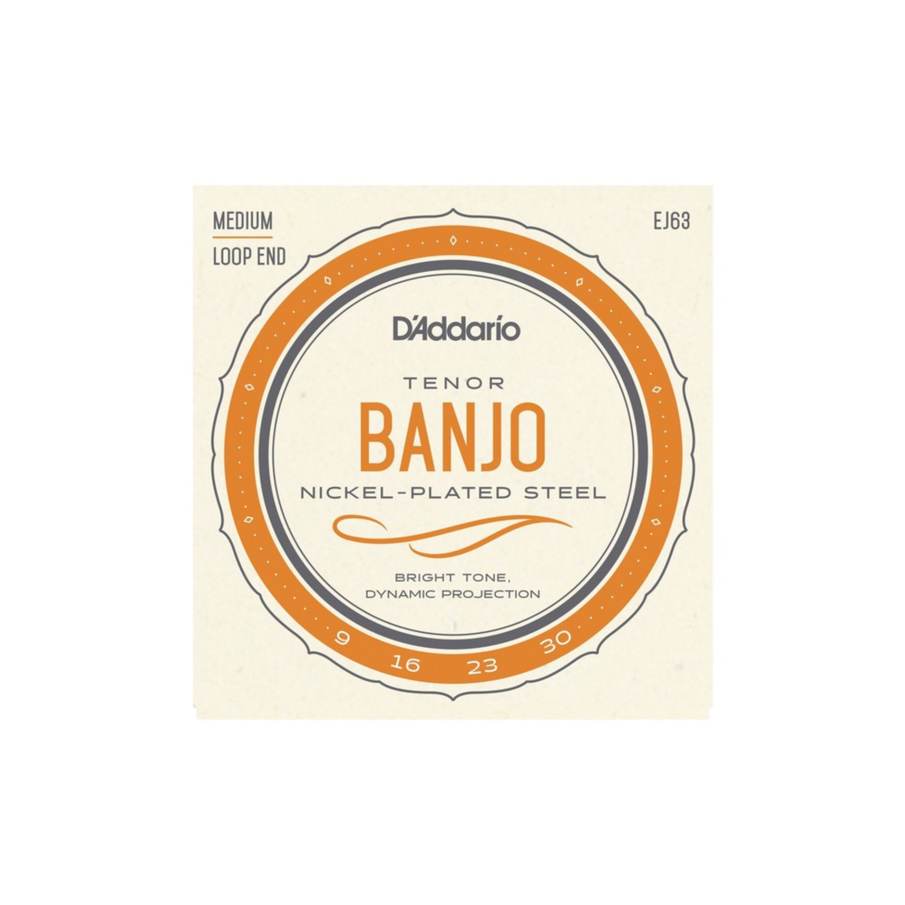 D'Addario Tenor Banjo EJ63