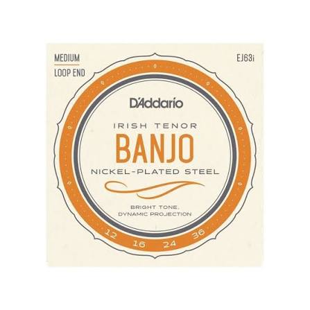 D'Addario Banjo Irish EJ63i