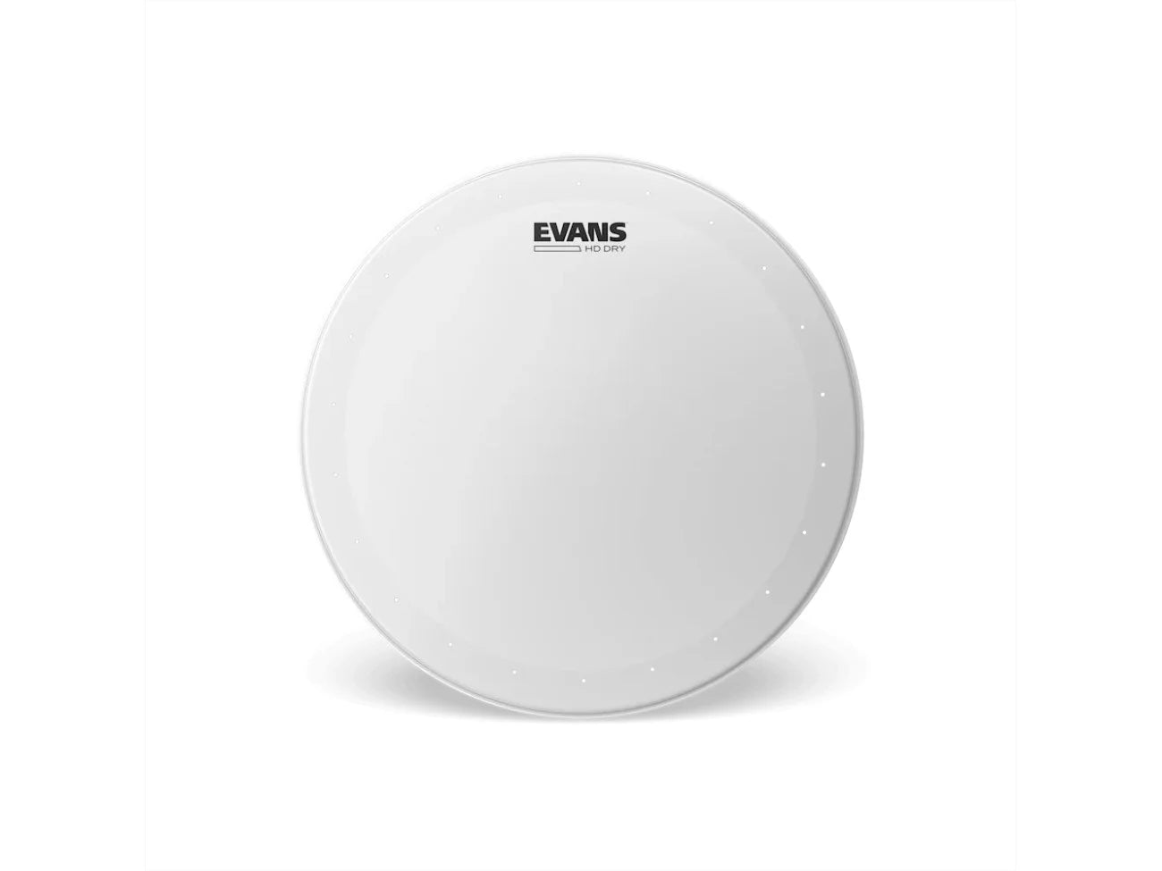 An Evans brand white drum head with a black logo printed at the top center, shown against a plain white background.