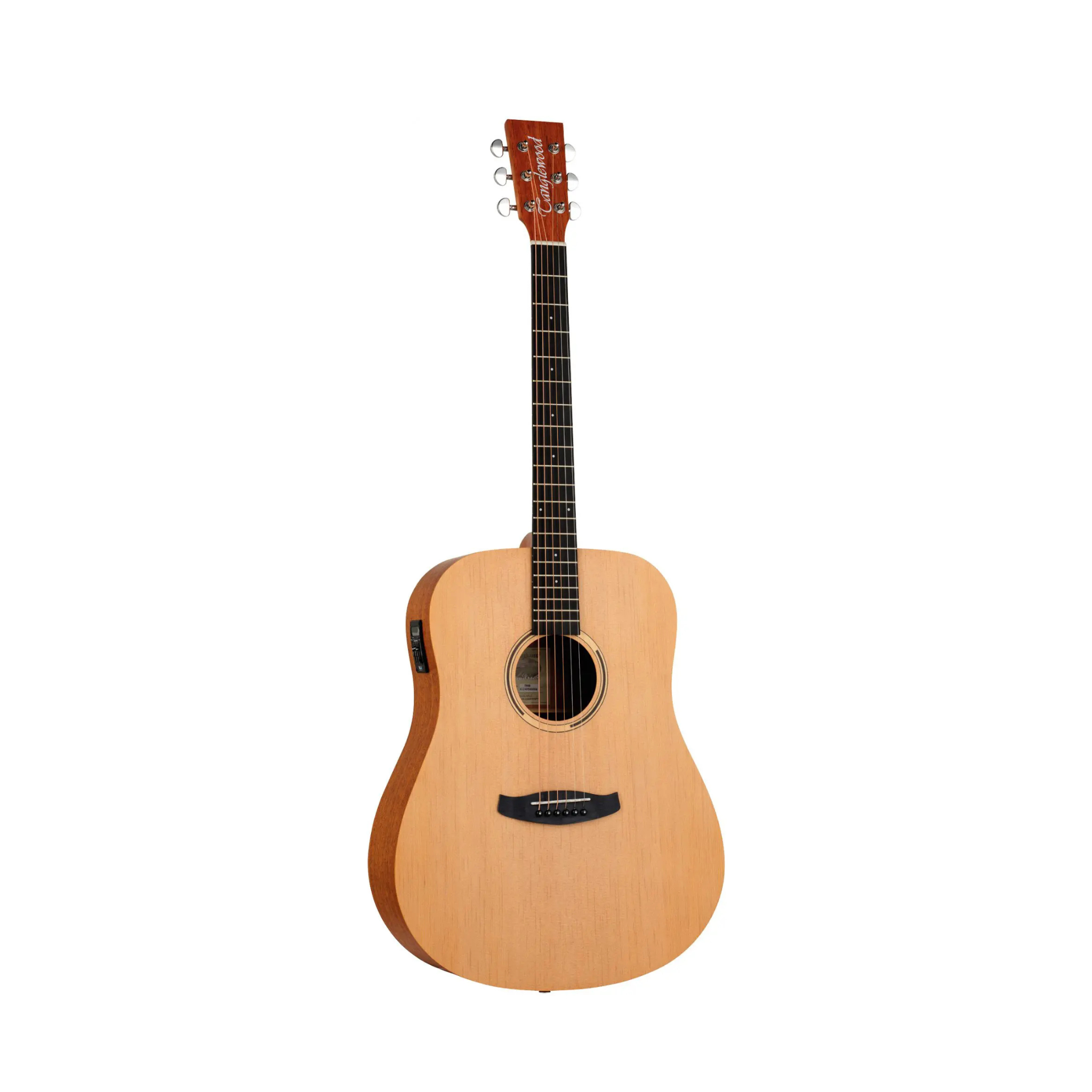 Tanglewood TR5E Dreadnought